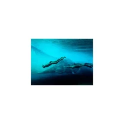 Palmes Dafin Lifeguard Pink White -le surf boutique palmes dafin lifeguard pink white 3